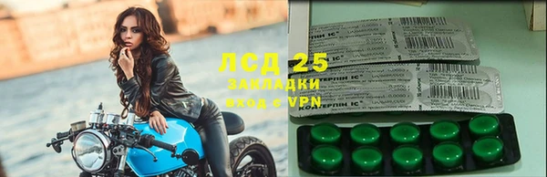 мдпв Магас
