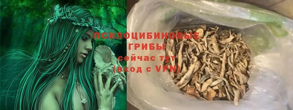 мдпв Магас