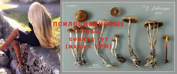 мдпв Магас